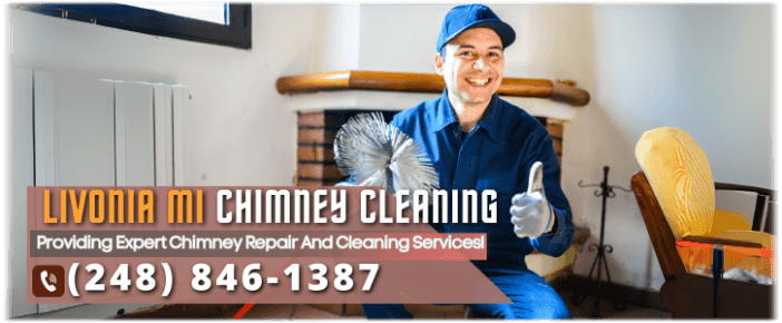 Chimney Cleaning Livonia MI
